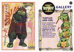 Turtles And Girl Gallery