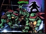 Turtles Wallpaper