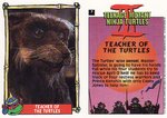Teacher Of The Turtles