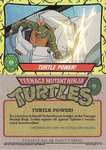 Turtle Power!